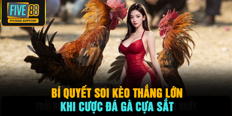 Bí quyết soi kèo thắng lớn khi cược đá gà cựa sắt