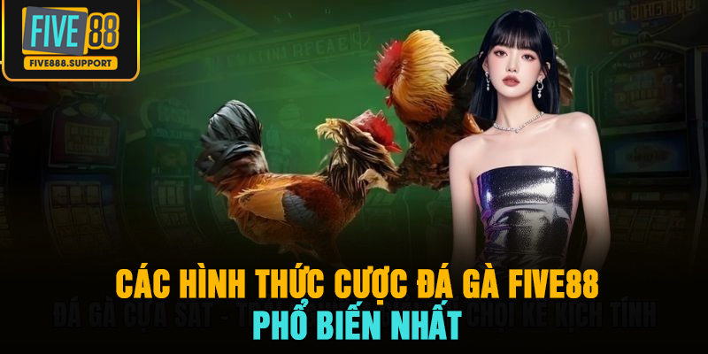 Các hình thức cược đá gà FIVE88 phổ biến nhất