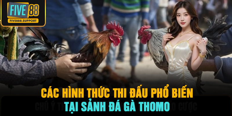 Các hình thức thi đấu phổ biến tại sảnh đá gà Thomo