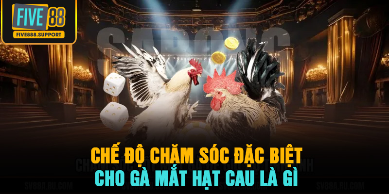 Chế độ chăm sóc đặc biệt cho gà mắt hạt cau là gì