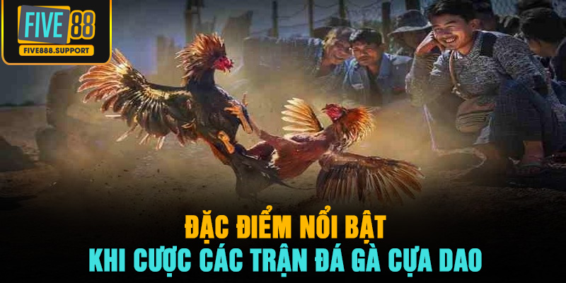 Đặc điểm nổi bật khi cược các trận đá gà cựa dao