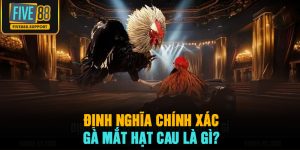 Định nghĩa chính xác gà mắt hạt cau là gì?