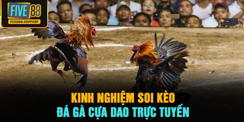 Kinh nghiệm soi kèo đá gà cựa dao trực tuyến