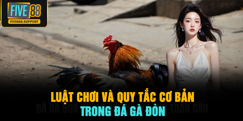 Luật chơi và quy tắc cơ bản trong Đá gà đòn