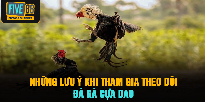Những lưu ý khi tham gia theo dõi đá gà cựa dao