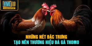 Những nét đặc trưng tạo nên thương hiệu đá gà Thomo