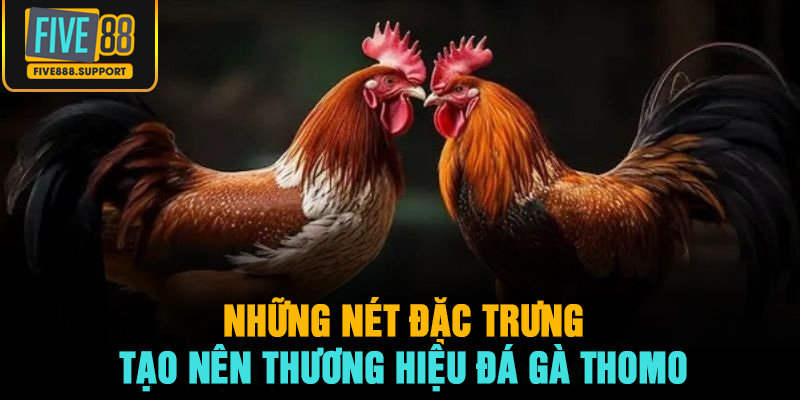 Những nét đặc trưng tạo nên thương hiệu đá gà Thomo