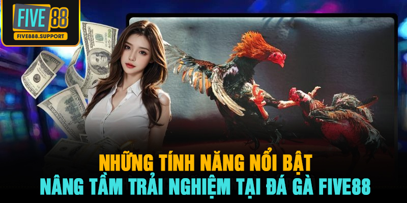 Những tính năng nổi bật nâng tầm trải nghiệm tại đá gà FIVE88
