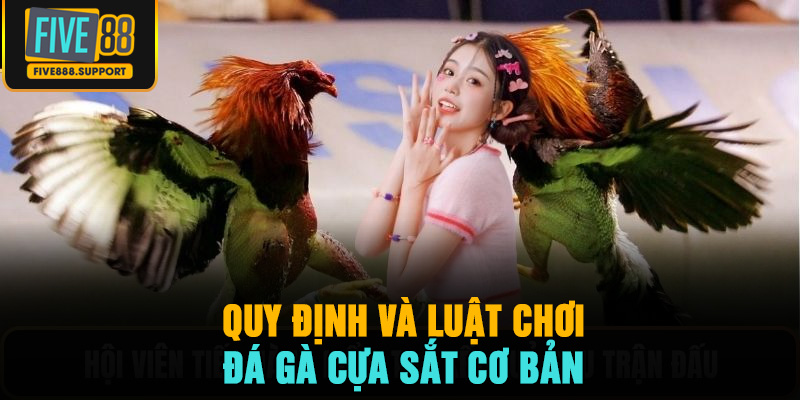 Quy định và luật chơi đá gà cựa sắt cơ bản