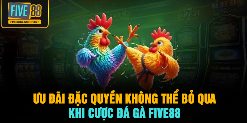 Ưu đãi đặc quyền không thể bỏ qua khi cược đá gà FIVE88
