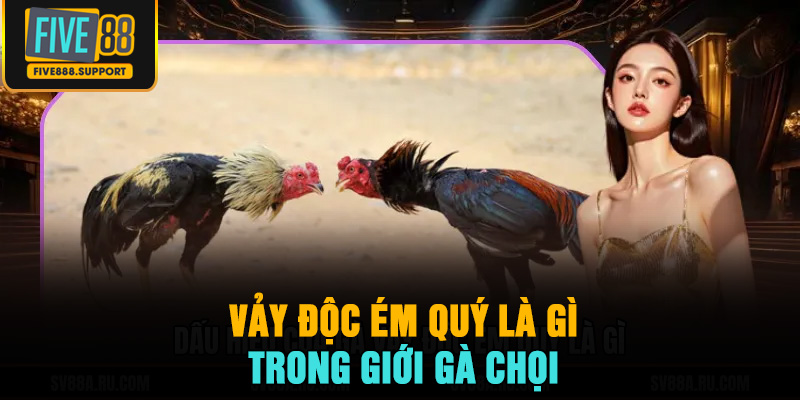 Vảy độc ém quý là gì trong giới gà chọi